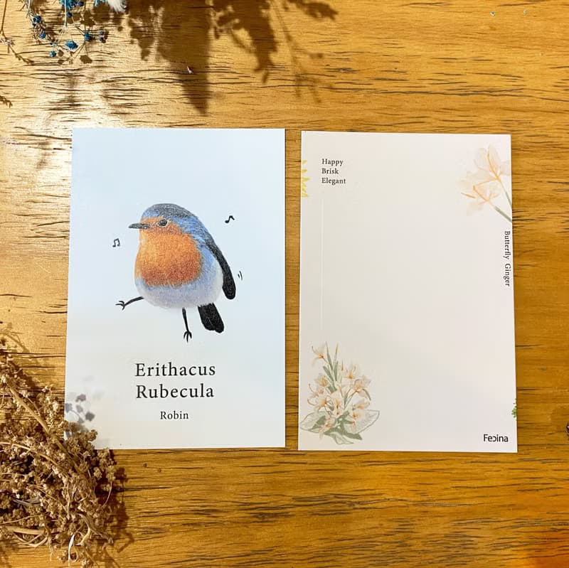 【鳥語花香-手繪鳥類療癒明信片】厚磅5張入