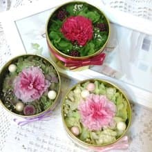  l 迷你開窗鐵盒康乃馨不凋花禮 l *母親節*感謝*感恩*擺飾*禮物*不凋花*恆星花*永生花*交換禮物