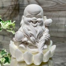 南極仙翁 蓮花座 珪藻擴香石家飾 Q版公仔 吸濕防潮