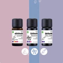 【Les nez 香鼻子】活力愛汪喵 三入精油組盒