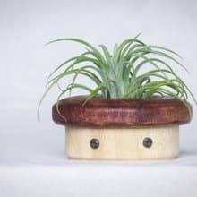 原創木作【蘑菇小姐】生活居家擺件  贈空氣鳳梨或多肉植栽