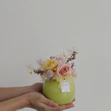 【永生玫瑰花盆花】• 情人節禮物/生日禮物/永生花/永生玫瑰花
