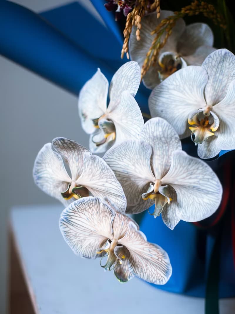 午夜的熱帶 天堂鳥花束 | 鮮花花束 | 紀念日 | 生日 | 送禮