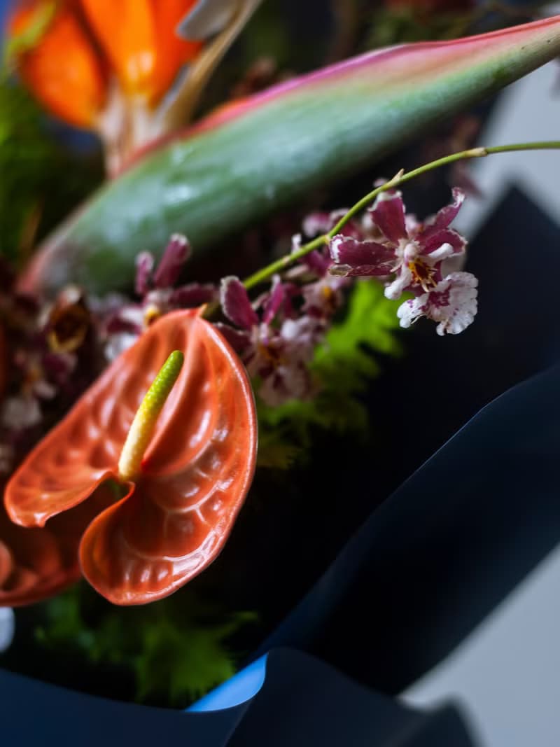 午夜的熱帶 天堂鳥花束 | 鮮花花束 | 紀念日 | 生日 | 送禮