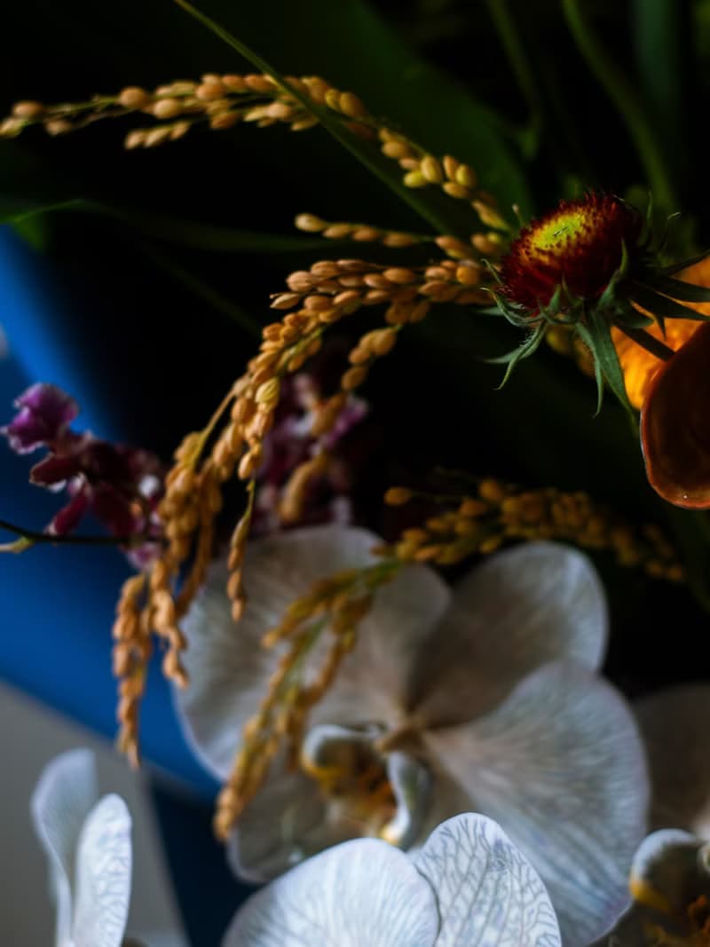 午夜的熱帶 天堂鳥花束 | 鮮花花束 | 紀念日 | 生日 | 送禮