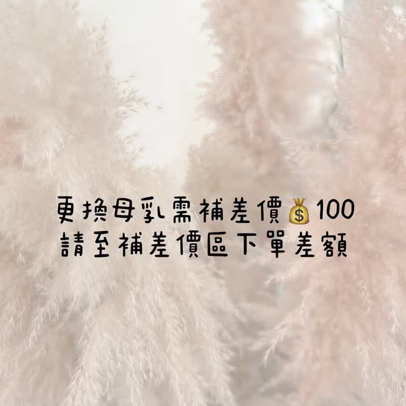 925純銀 落日橘光 胎毛戒指 可調式