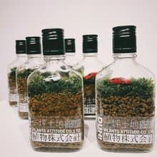一坪土地 植物株式会社