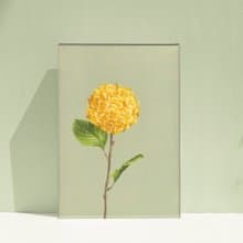 【體驗】台中油畫體驗課程/四季花令-繡球花/台中畫室
