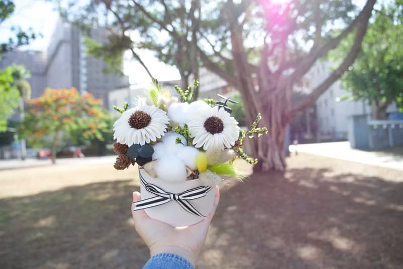 小圓餅乾燥花禮盒/盆花 - 黃綠色款