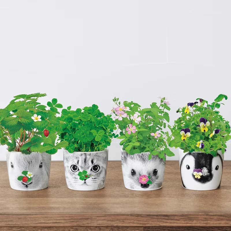 HANA &ANIMALS 動物陶瓷花朵栽培盆器