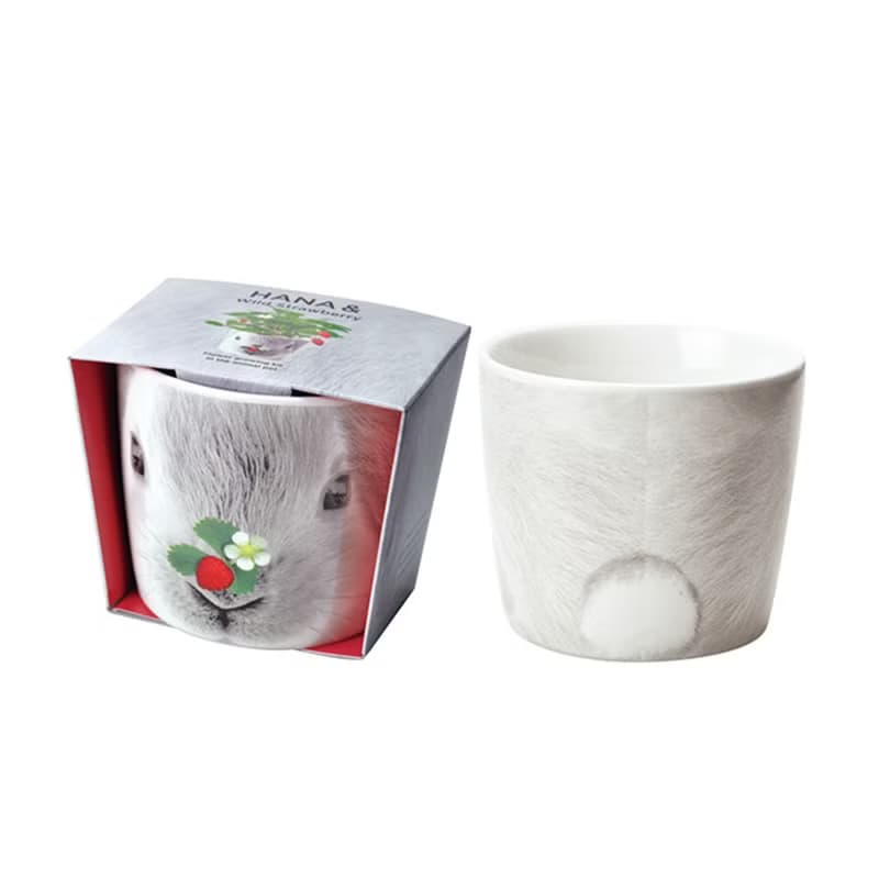 HANA &ANIMALS 動物陶瓷花朵栽培盆器