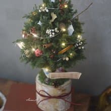 永生雪松聖誕樹 聖誕節交換禮物