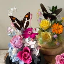 春庭永生玫瑰 蝴蝶玻璃盅 -榮退禮/情人節/訂婚/紀念/入厝/生日