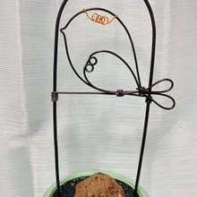 山烏龜 龜甲龍鋁線攀爬架
