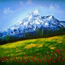 落基山脉红罂粟花原画