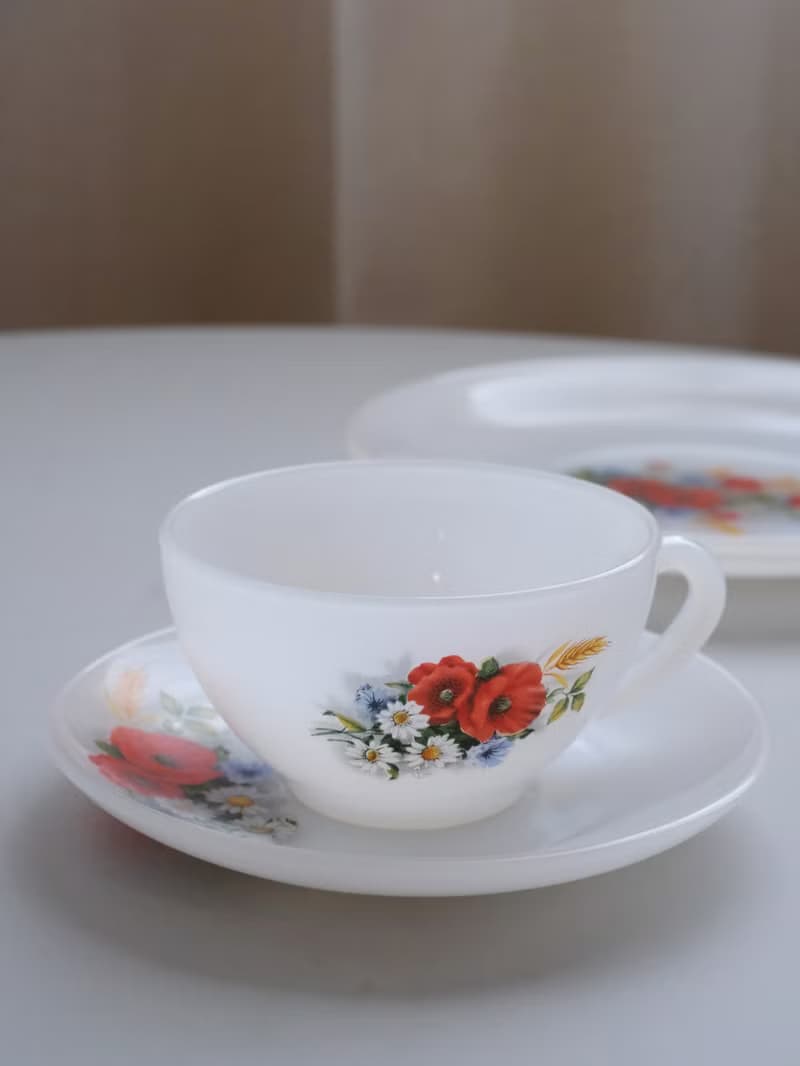 法國Arcopal Vintage套裝杯連茶碟/中古/咖啡杯/餐具/甜點碟
