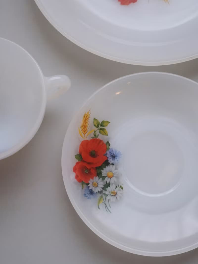 法國Arcopal Vintage套裝杯連茶碟/中古/咖啡杯/餐具/甜點碟