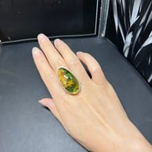 天然波羅的海琥珀戒指  特色風景珀活口 s925銀鑲嵌