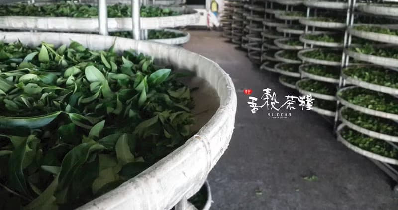 【 2025中秋節推薦 】原葉食茶禮盒 (三峽碧螺春x花蓮紅玉紅茶)