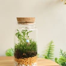 【微景觀】暢遊 - 苔蘚組盆/冒險/交換禮物/生日禮物