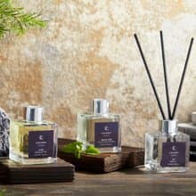 【團購5入組/免運】室內香氛擴香瓶 100ml