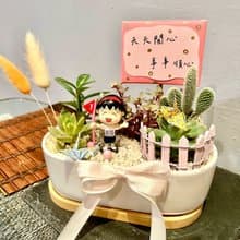 櫻桃小丸子 多肉組盆 多肉植物 得勝小丸子 勝利 運動比賽 慶祝