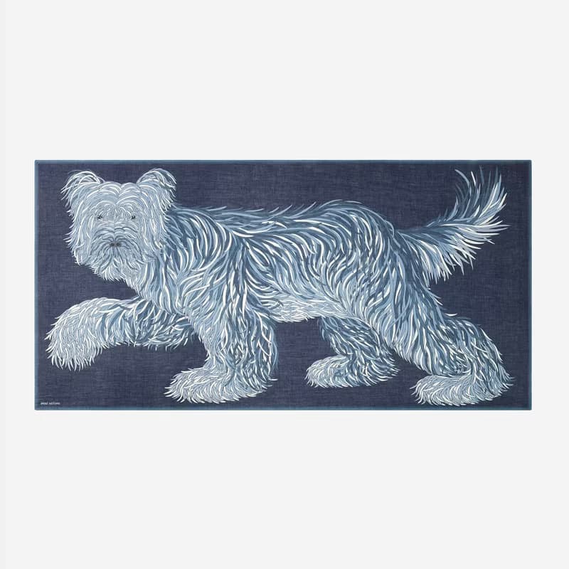 【INOUI EDITIONS】FREDDY 純棉圍巾 / NAVY
