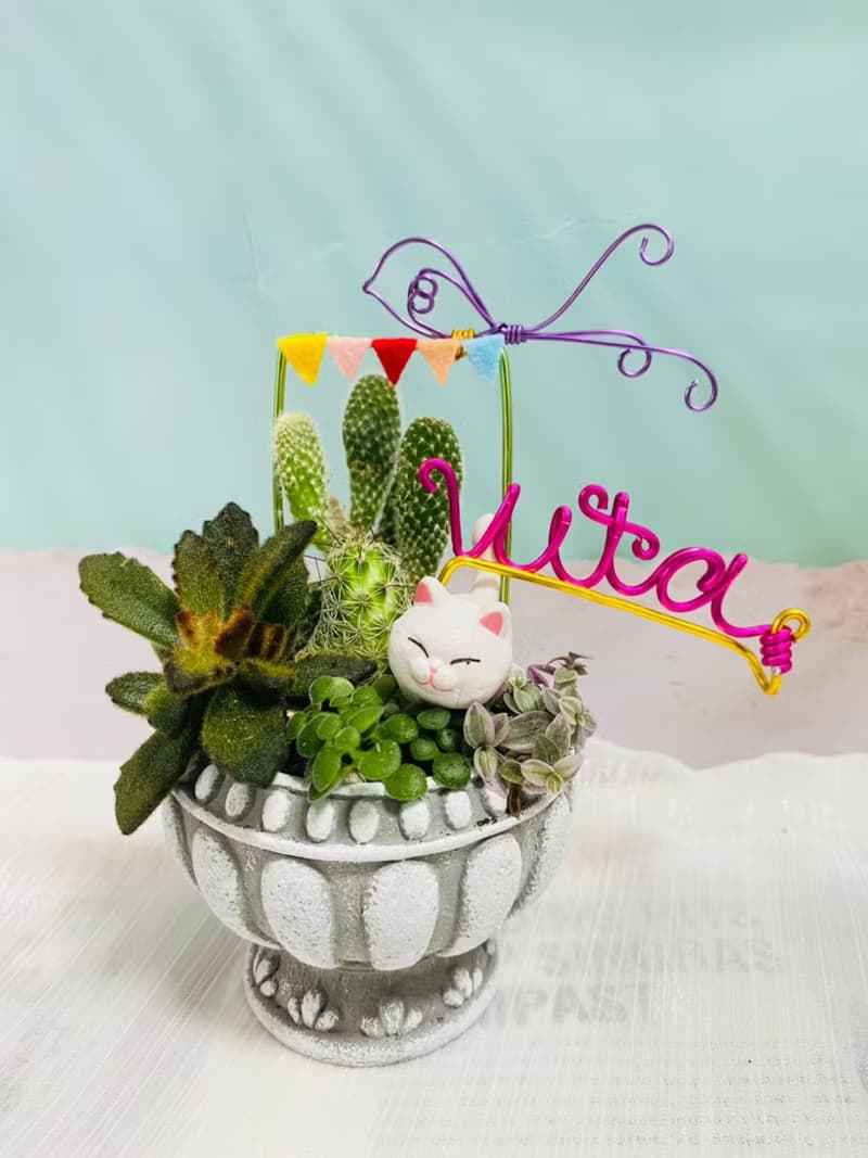 【快速出貨】 多肉組盆新手入門 辦公室熱門小盆栽 2吋復古冠軍杯