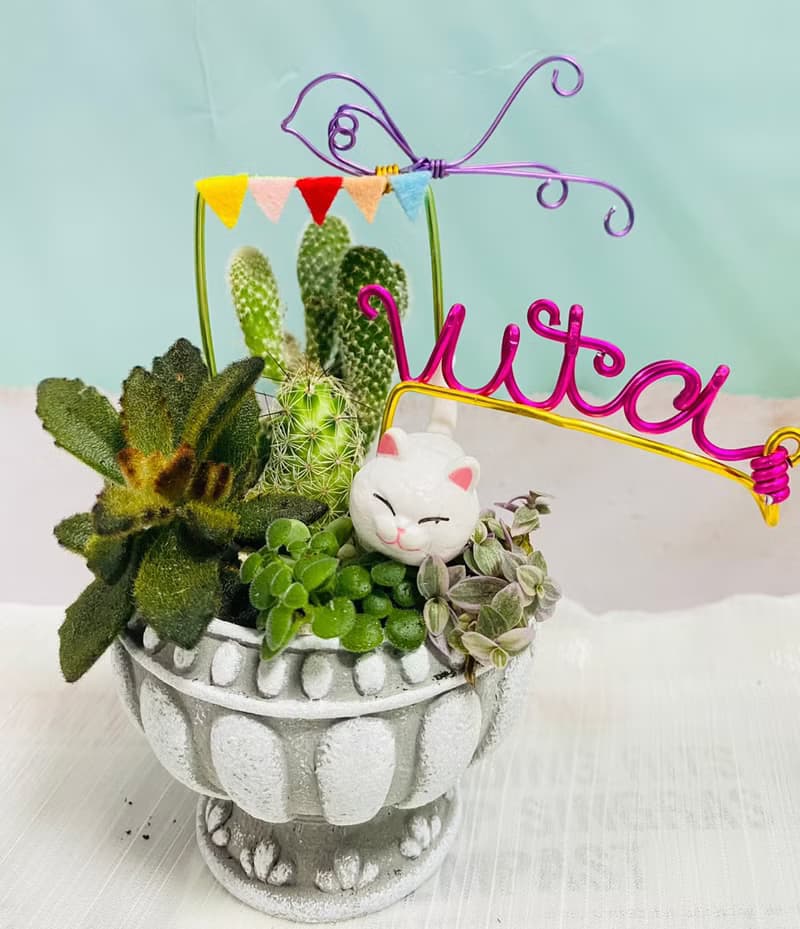 【快速出貨】 多肉組盆新手入門 辦公室熱門小盆栽 2吋復古冠軍杯