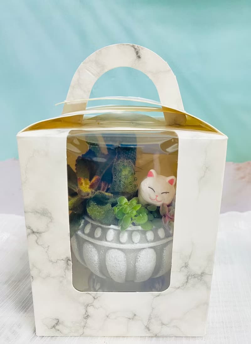 【快速出貨】 多肉組盆新手入門 辦公室熱門小盆栽 2吋復古冠軍杯