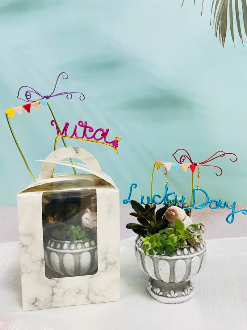 【快速出貨】 多肉組盆新手入門 辦公室熱門小盆栽 2吋復古冠軍杯