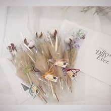 棉花單支畢業花束 /畢業花束/永生花/乾燥花束/棉花/花束