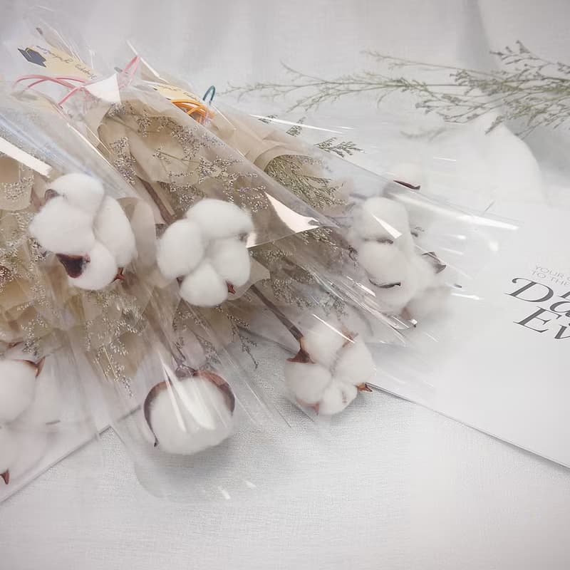 棉花單支畢業花束 /畢業花束/永生花/乾燥花束/棉花/花束