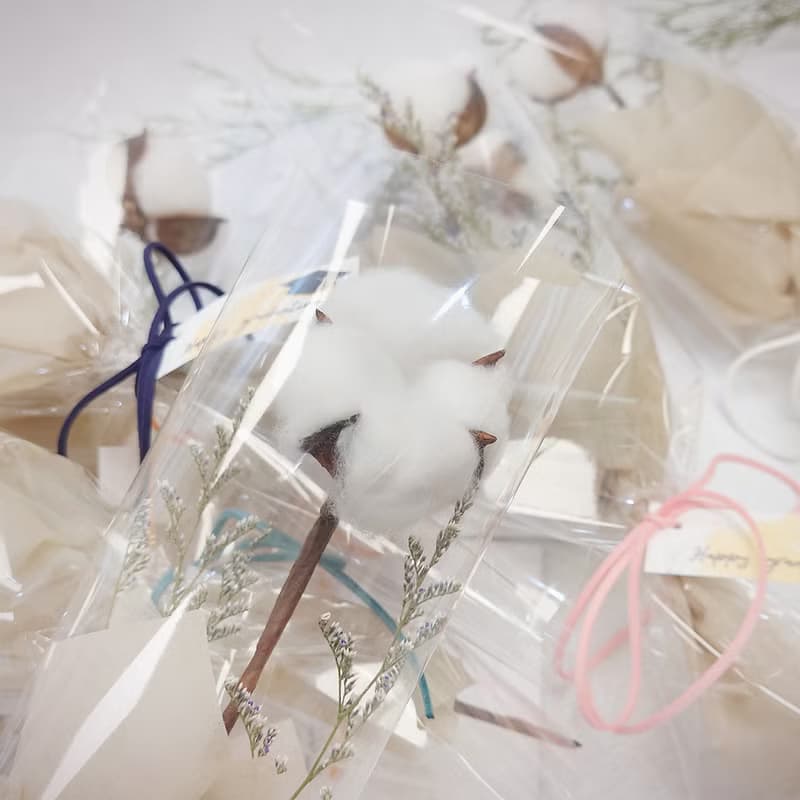 棉花單支畢業花束 /畢業花束/永生花/乾燥花束/棉花/花束