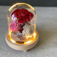 玻璃鐘罩 不凋花  小王子 夜燈 情人節禮物 生日禮物 乾燥花