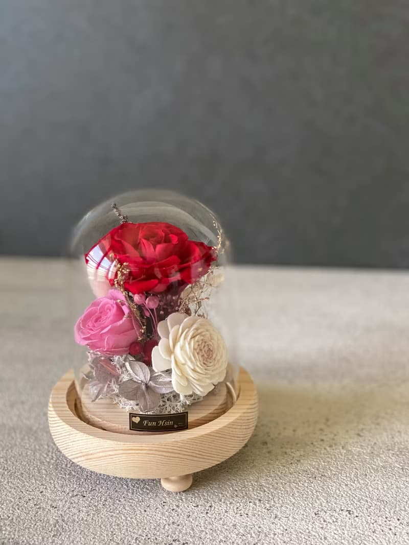 玻璃鐘罩 不凋花  小王子 夜燈 情人節禮物 生日禮物 乾燥花