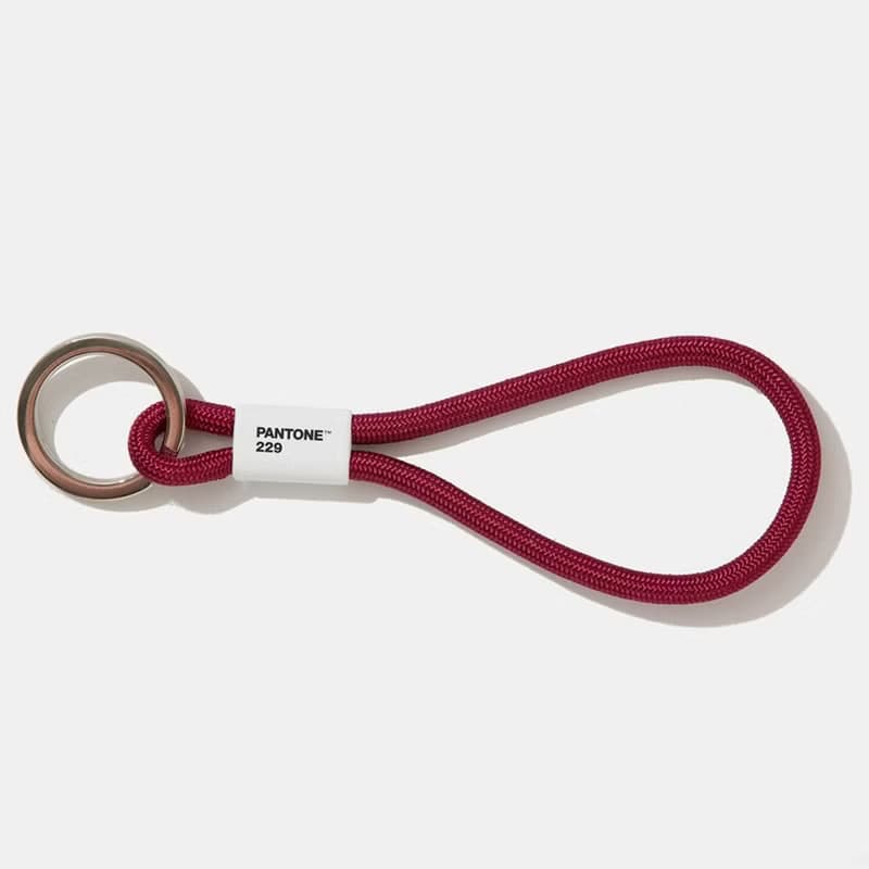 PANTONE 短版鑰匙扣環(多色可選) 送禮