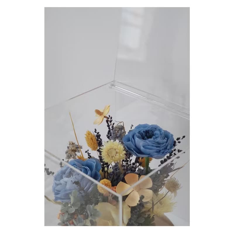 永生乾燥花 壓克力花盒