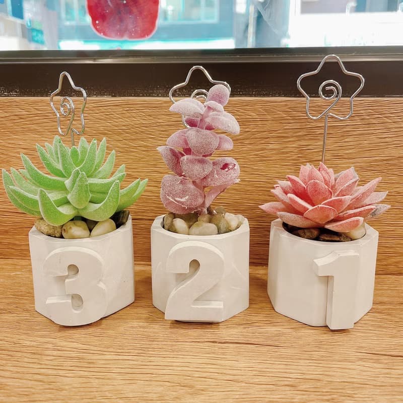 【情人節禮盒】【手工製作】六角立體小盆栽/仿真多肉植物盆栽/桌
