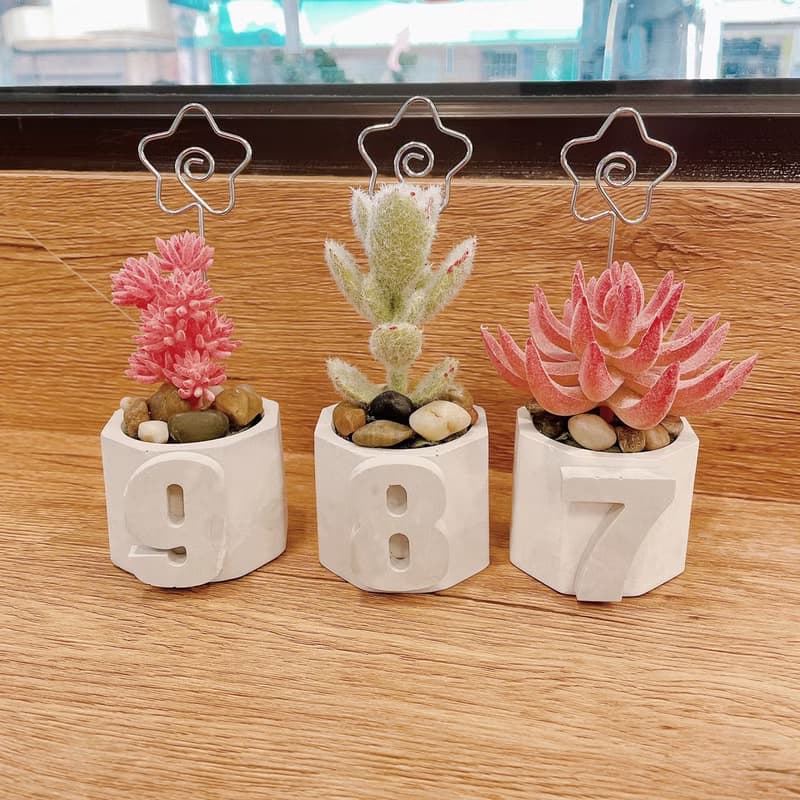 【情人節禮盒】【手工製作】六角立體小盆栽/仿真多肉植物盆栽/桌