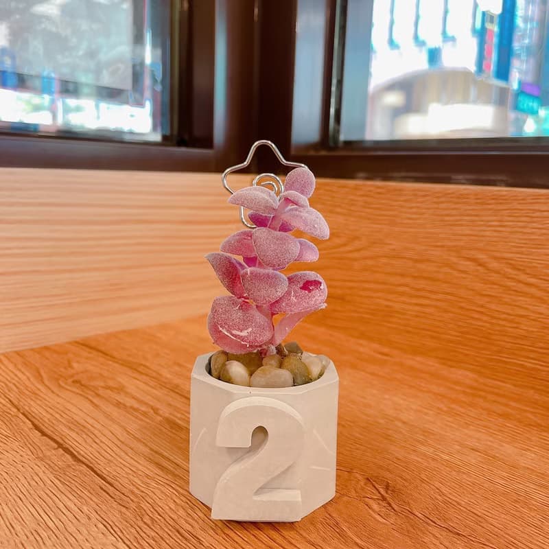 【情人節禮盒】【手工製作】六角立體小盆栽/仿真多肉植物盆栽/桌
