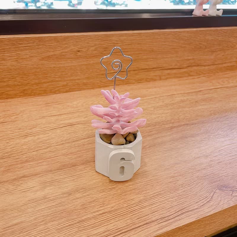 【情人節禮盒】【手工製作】六角立體小盆栽/仿真多肉植物盆栽/桌