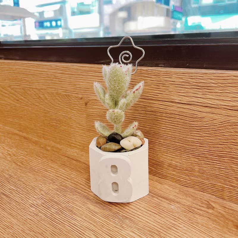 【情人節禮盒】【手工製作】六角立體小盆栽/仿真多肉植物盆栽/桌