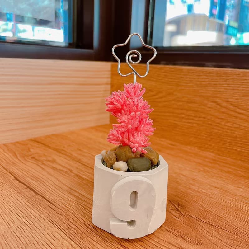 【情人節禮盒】【手工製作】六角立體小盆栽/仿真多肉植物盆栽/桌