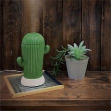 日本Decole 電動加濕器 - 濕潤大大的仙人掌