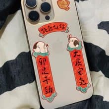錢兔似錦 兔年裝飾貼紙 創意趣味mini春聯
