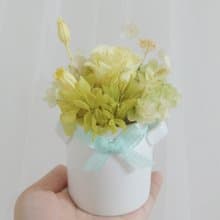 情人不凋小盆花香檸綠 結婚捧花永生乾燥花畢業謝師禮物生日畢業
