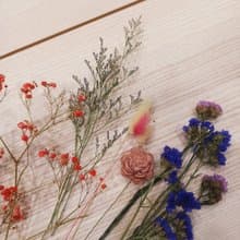 乾燥花材料包 乾燥花 永生花  情人節 七夕婚禮小物 diy 擴香花