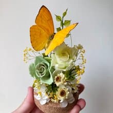 輕盈永生蝴蝶玻璃盅-畢業禮/情人節/訂婚/紀念日/生日/永生花