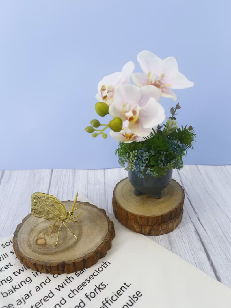 粉蝴蝶蘭日式陶盆香氛花禮/入厝禮/開幕/喬遷/送禮/植栽